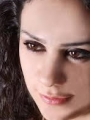 فضيله واحب الفضول