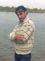 شادي العلي2